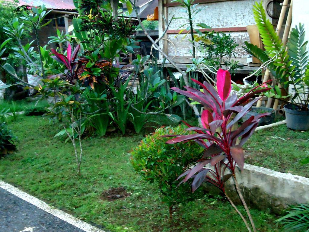 Dewa Put Pensión Ubud Exterior foto