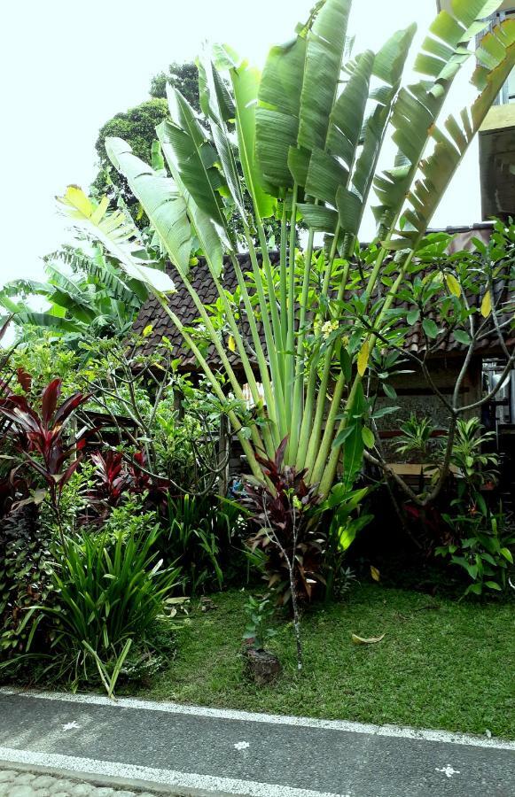 Dewa Put Pensión Ubud Exterior foto